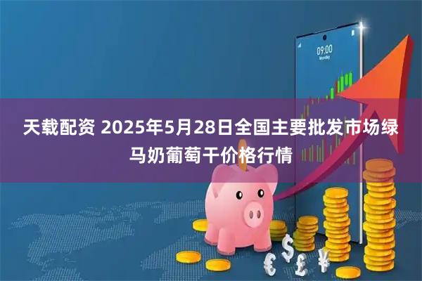天载配资 2025年5月28日全国主要批发市场绿马奶葡萄干价格行情