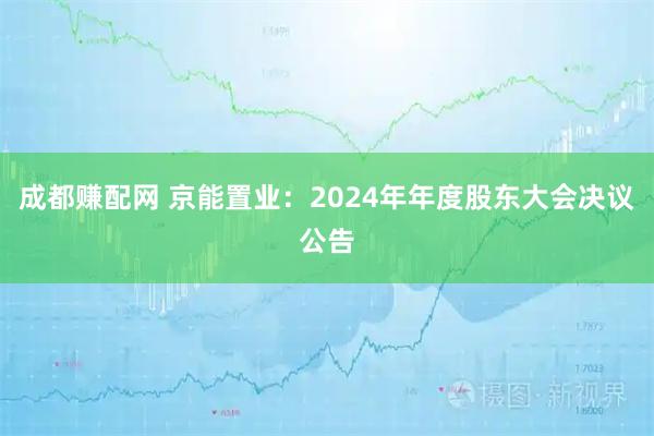 成都赚配网 京能置业：2024年年度股东大会决议公告