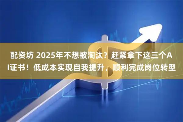 配资坊 2025年不想被淘汰？赶紧拿下这三个AI证书！低成本实现自我提升，顺利完成岗位转型