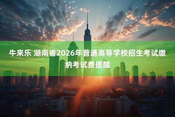 牛来乐 湖南省2026年普通高等学校招生考试缴纳考试费提醒